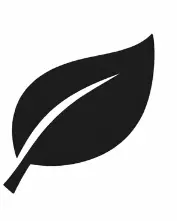 Alternative conservatrice pour soulager les douleurs