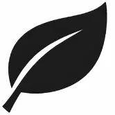 Alternative conservatrice pour soulager les douleurs