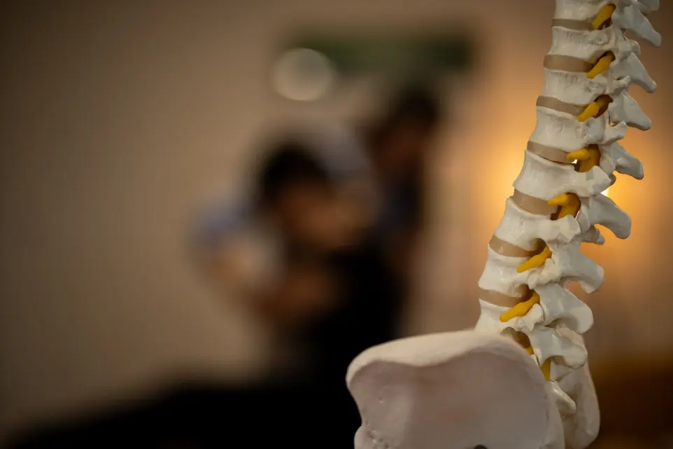 Colonne vertébrale en premier plan avec un ajustement chiropratique en arrière-plan.